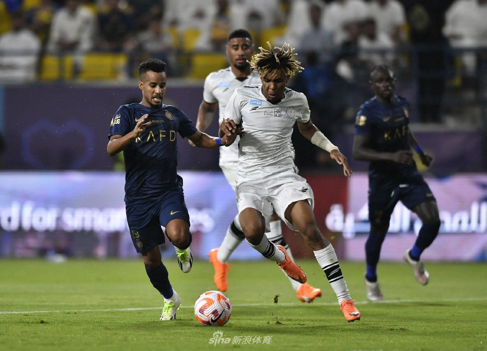 你优化吗 你优化吗